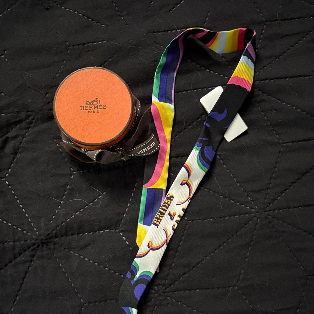 Multicolor Silk Hermes Twilly